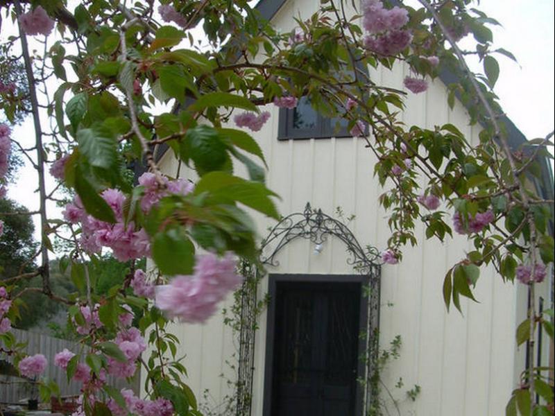 Silverleaf Cottage Rye Exterior foto